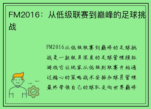 FM2016：从低级联赛到巅峰的足球挑战