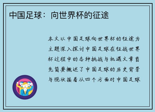 中国足球：向世界杯的征途